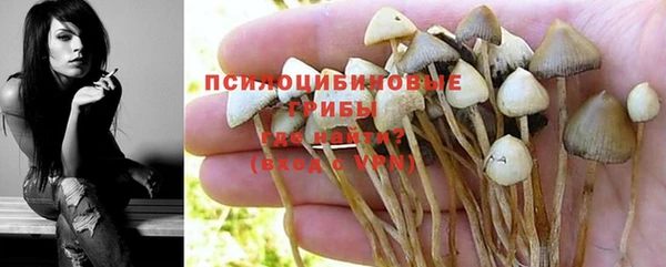 2c-b Майский