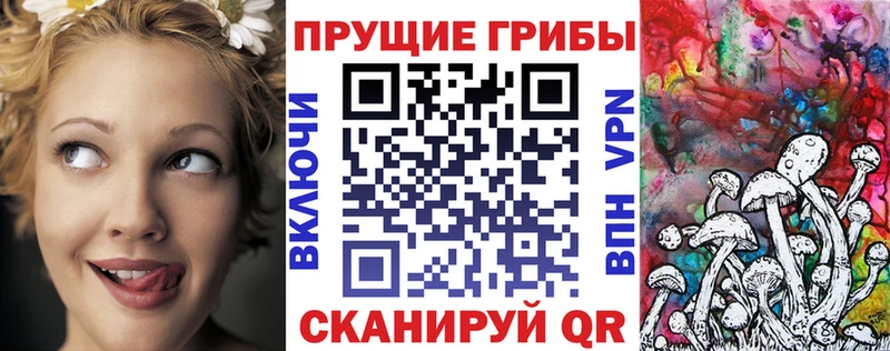 Купить  Гусиноозёрск  Псилоцибиновые грибы мухоморы 
