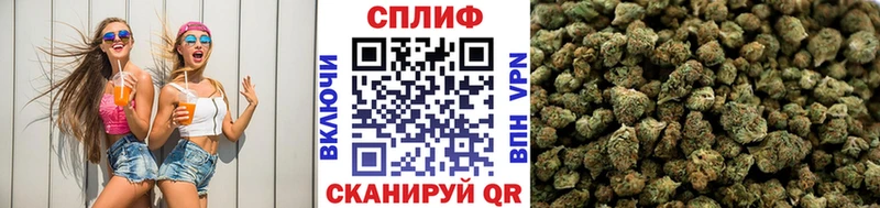 Купить  Гусиноозёрск  Каннабис MAZAR 